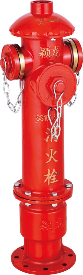 地上消火栓SS100／65-1.6