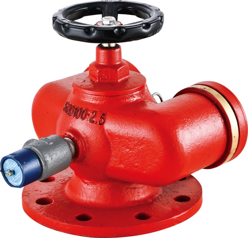 多用式消防水泵接合器SQD150-1.6